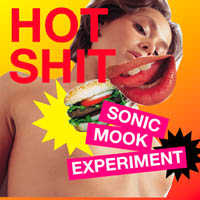 SONIC MOOK EXPERIMENT 3: HOT SHIT (Mute / Blast First, 2003)